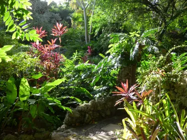 Andromeda Botanic Gardens
