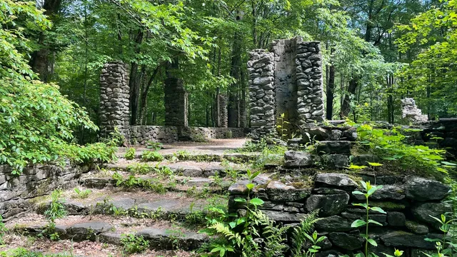 Madame Sherri Forest