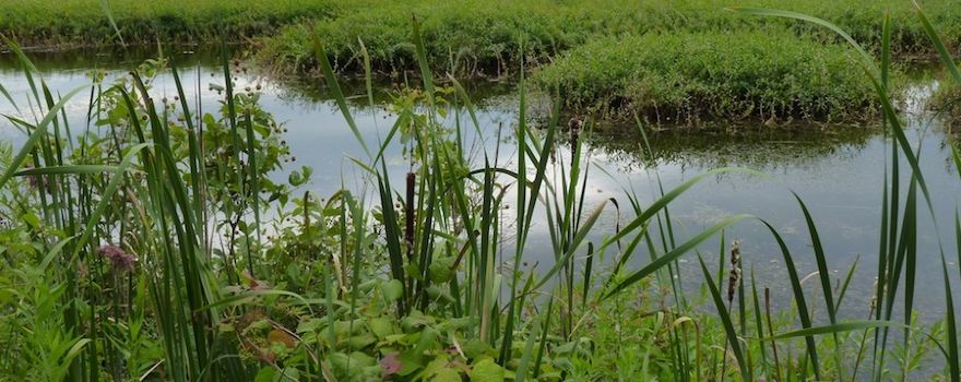 Iroquois National Wildlife Refuge