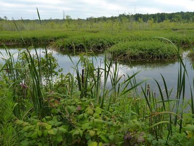Iroquois National Wildlife Refuge