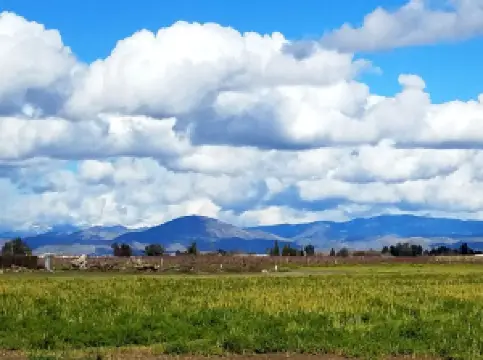 Fresno County Blossom Trail
