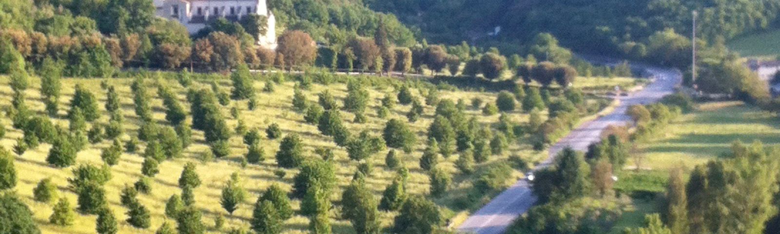 스폴레토현지 맛집