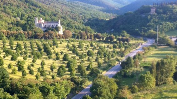 Spoleto