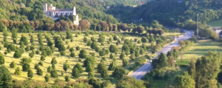 Spoleto