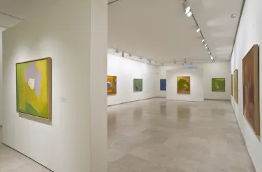 Museum of Contemporary Art Esteban Vicente