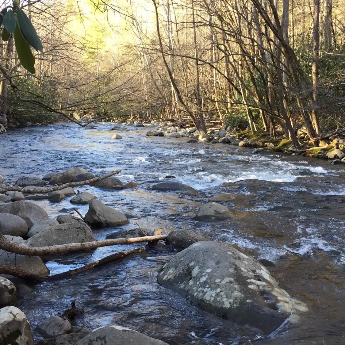 Hotels near Sugarlands Valley Nature Trail