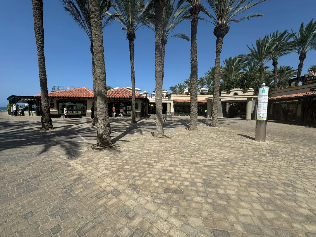 5_Playa de Maspalomas