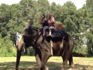 Two Tails Ranch