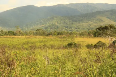 South Palu