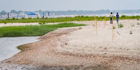 The Coastal Center at Milford Point