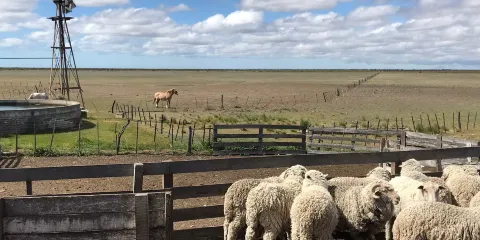 Estancia San Lorenzo