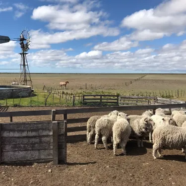Estancia San Lorenzo