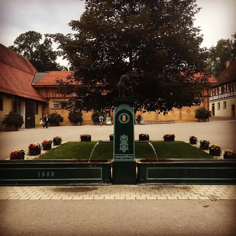 5_Marbach stud