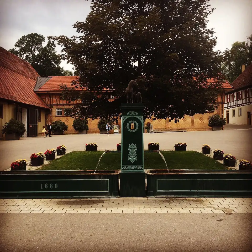 5_Marbach stud