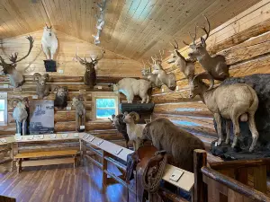 Hudson's Hope Museum