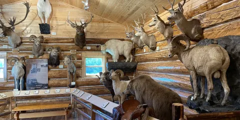 Hudson's Hope Museum