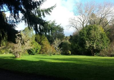 El Jardin Botanico de La Universidad Austral De Chile