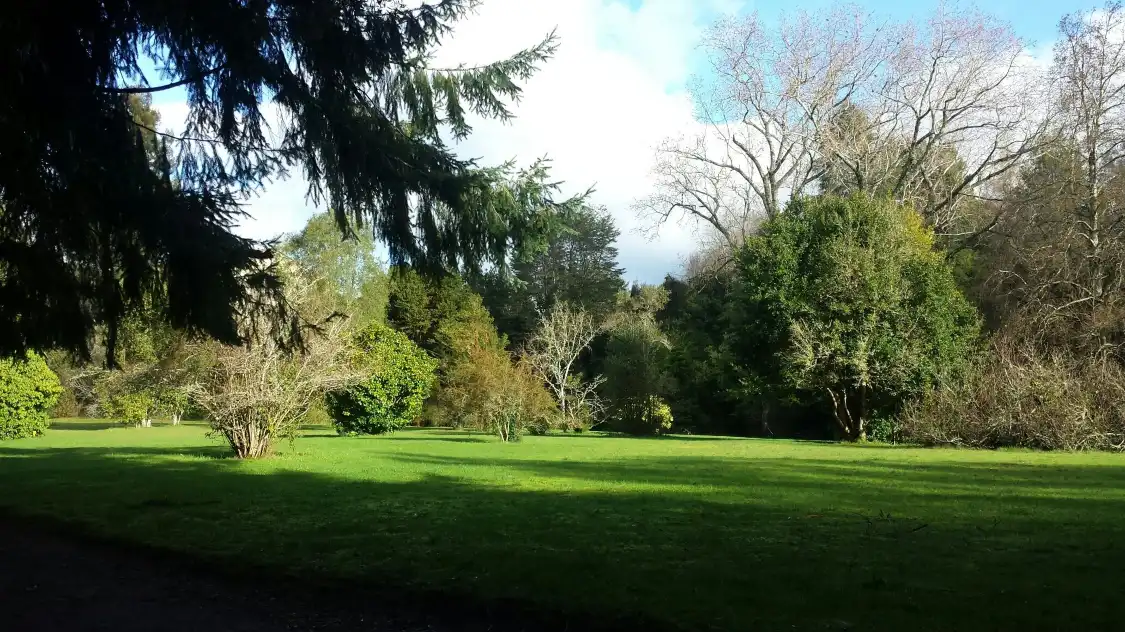 Các khách sạn gần El Jardin Botanico de La Universidad Austral De Chile