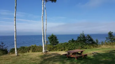 Digby County