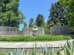 Sokhumi Monkey Nursery