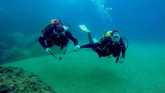 Liquid Planet Dive Center