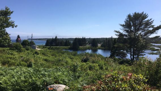 Bayswater Beach Provincial Park