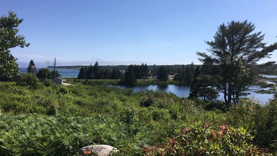 Lunenburg County