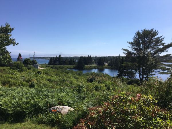 Bayswater Beach Provincial Park