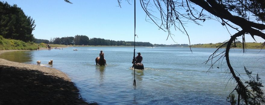 Rakiura Rides