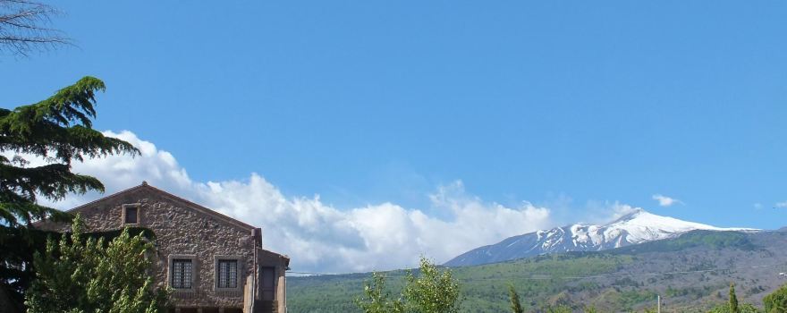 Rovittello
