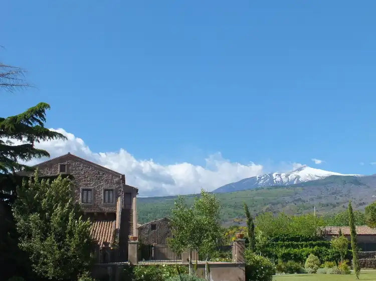 Rovittello