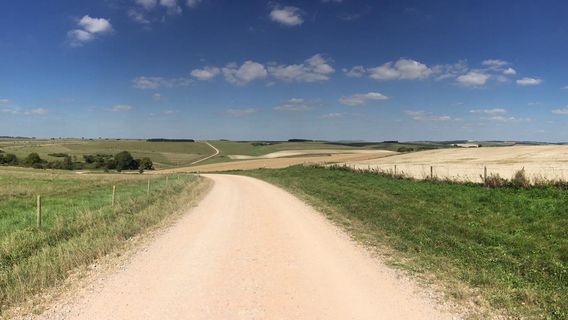 Shrewton