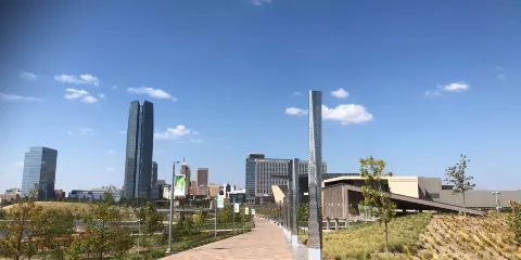 Skydance Pedestrian Bridge