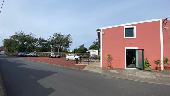 Ananás Santo António