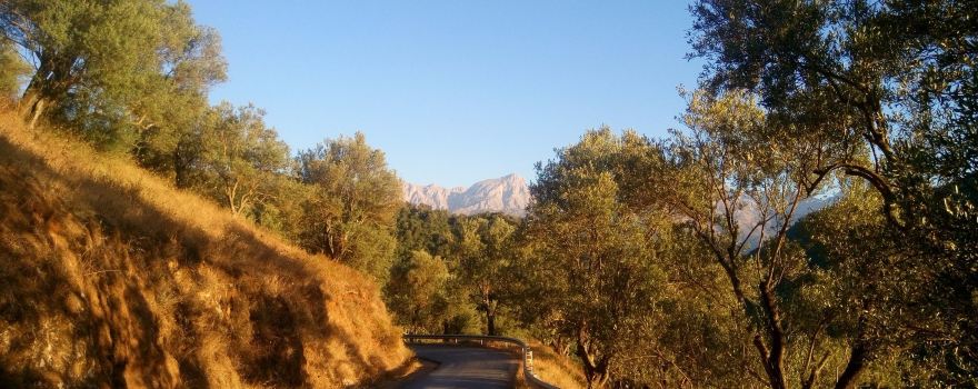 Tizi Ouzou