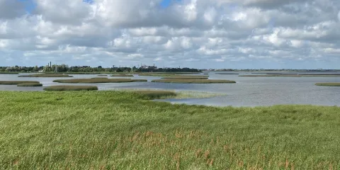 Liepaja lake watchtower