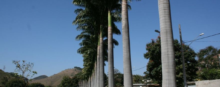 Barra Longa