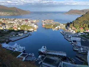 Heid Tursti