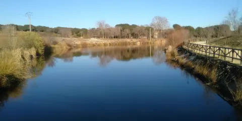 Parque de Las Presillas