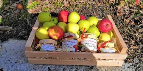 Azienda Agricola Monte Pomiciaro