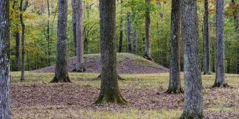 Shiloh Indian Mounds National Historic Landmark