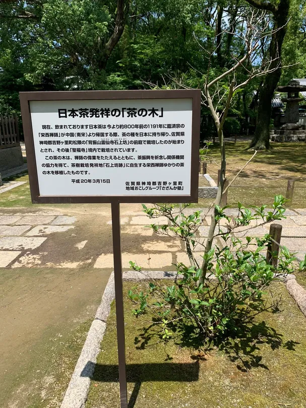 5_Nihoncha Hassho no Cha no Ki