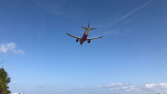 Tomigusuku City Senaga Island Baseball Field