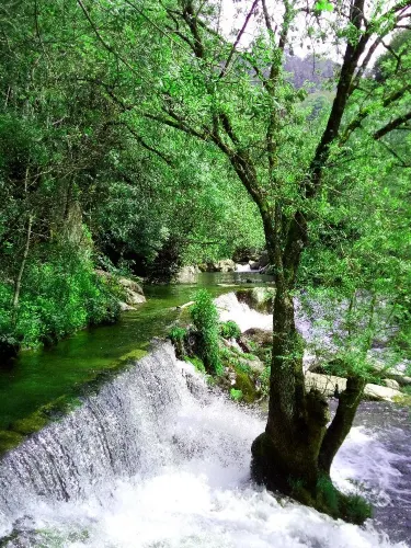 Cinfães