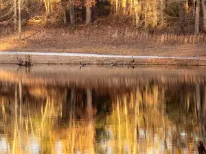 McDuffie Public Fishing Area