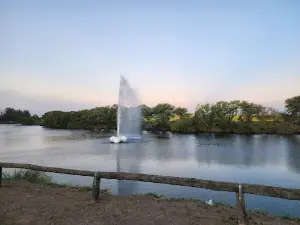 Paseo de la Ribera