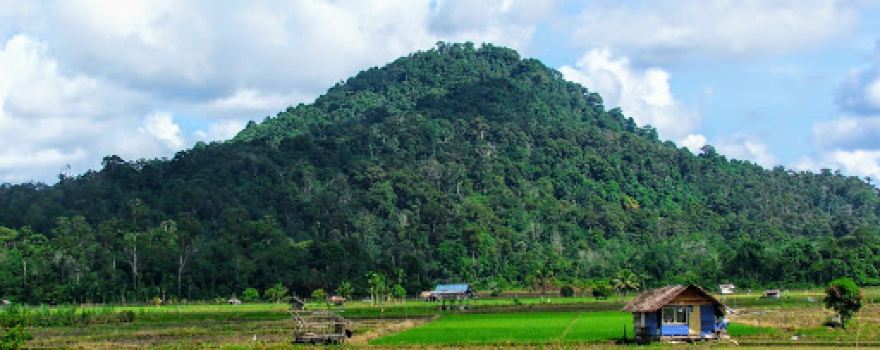 Bukit Loncek