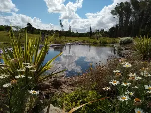 Vivero Dunícola De Claromecó