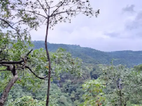 WATER FALL VIEW TOWER