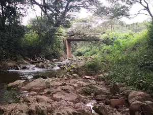 El cedrito, Subirana, Yoro